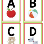 Alphabet Flash Cards Pdf Alphabet Letters With Pictures Flashcards